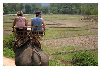 8days-larger-elephantride.jpg