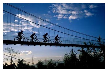 bikingbridge.jpg
