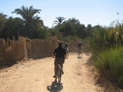 Bike-Riding-around-Siwa-Oas.gif