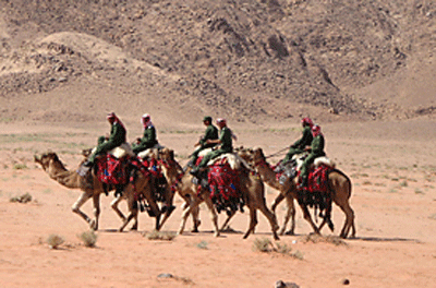 Desert-Police.gif