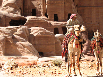 Petra.gif